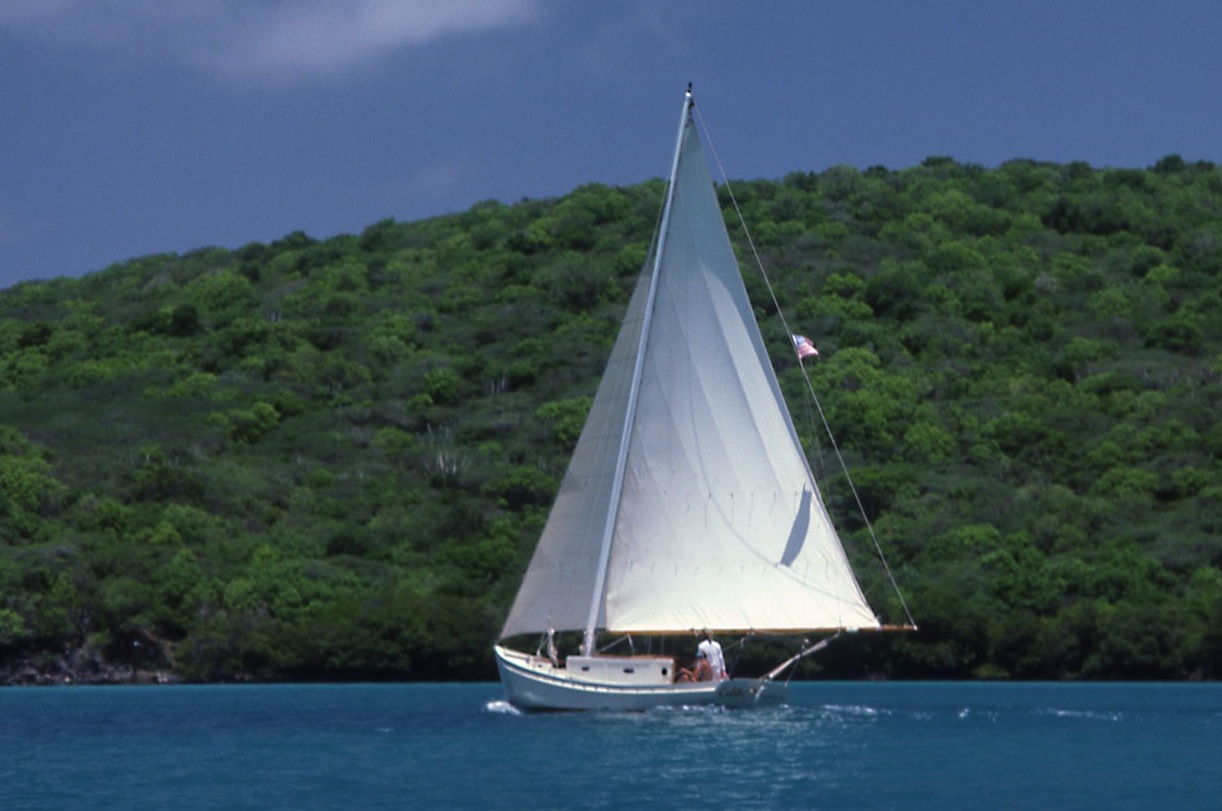 Picture of a puerto rican sloop, sailing through tropical water, in front of a hillside